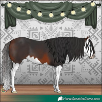 Horse Color:Bay Splash 