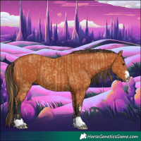 Horse Color:Chestnut and Bay