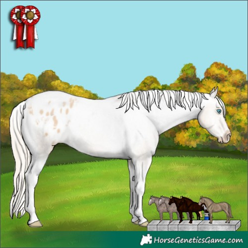 Horse Color:Palomino Pearl Tobiano Varnish 