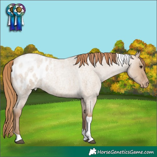 Horse Color:Grullo Roan Pearl Tobiano Blanket 