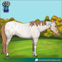 Horse Color:Grullo Roan Pearl Tobiano Blanket 