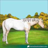 Horse Color:Silver Buckskin Pearl Dun Tobiano Snowcap