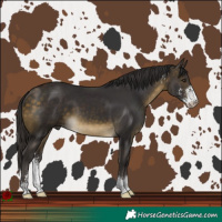 Horse Color:Buckskin Sabino