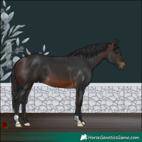 Horse Color:Brown 