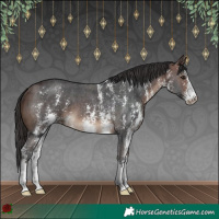 Horse Color:Brown Sabino