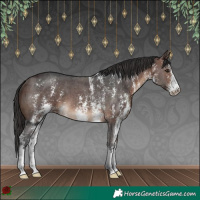 Horse Color:Brown Sabino 