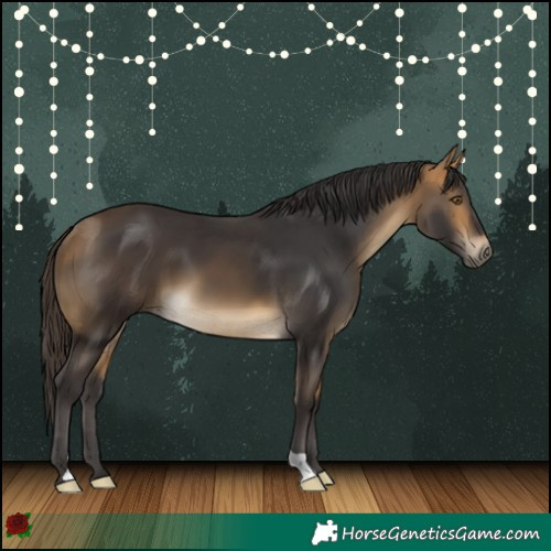 Horse Color:Buckskin 