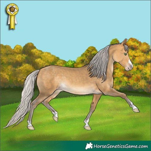 Horse Color:Silver Sable Cream Champagne 