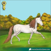 Horse Color:Sable Champagne Pearl Dun Sabino 