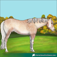 Horse Color:Silver Amber Champagne Ice Onyx