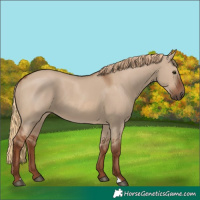 Horse Color:Red Dun