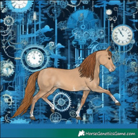 Horse Color:Red Dun Sabino