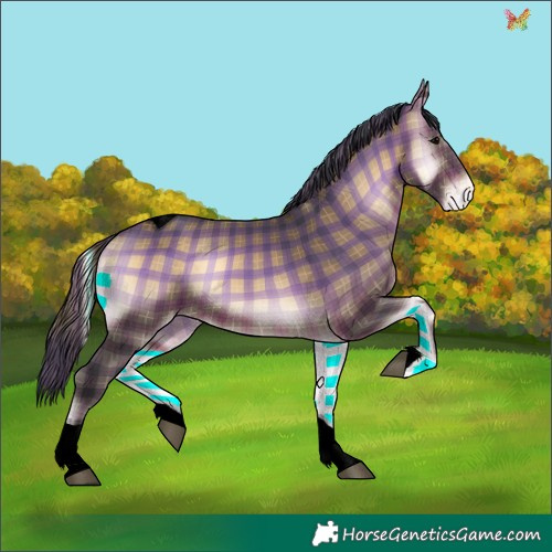 Horse Color:Void Plaid  Brown Onyx Tobiano Appaloosa 