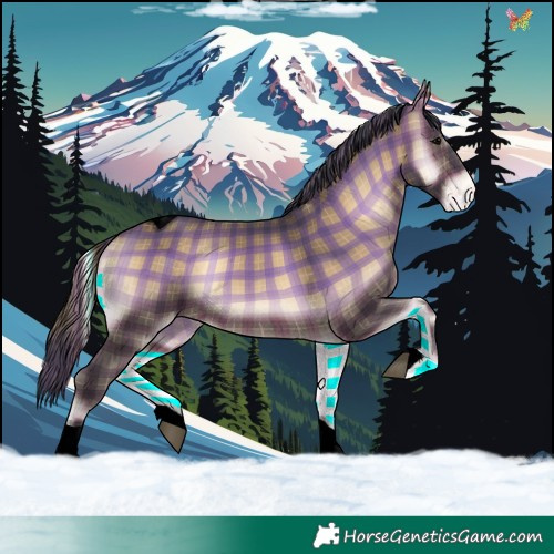 Horse Color:Void Plaid  Brown Onyx Tobiano Appaloosa 
