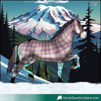 Horse Color:Void Plaid Brown Onyx Tobiano Varnish