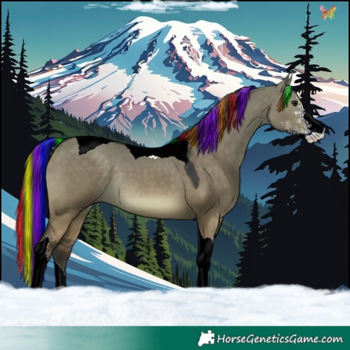 Horse Color:Painted Brown Dun Sabino Tobiano Rabicano