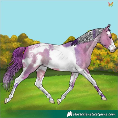 Horse Color:Watercolor Bay Roan Splash Tobiano Frame 