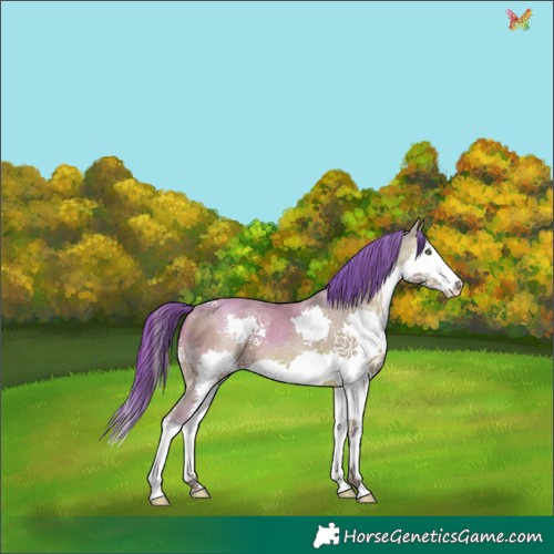 Horse Color:Watercolor Amber Champagne Splash Tobiano 