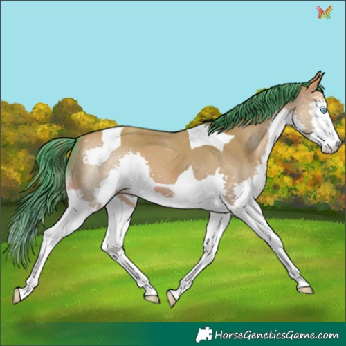 Horse Color:Watercolor Sable Champagne Dun Splash Tobiano 