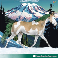 Horse Color:Watercolor Sable Champagne Dun Splash Tobiano 
