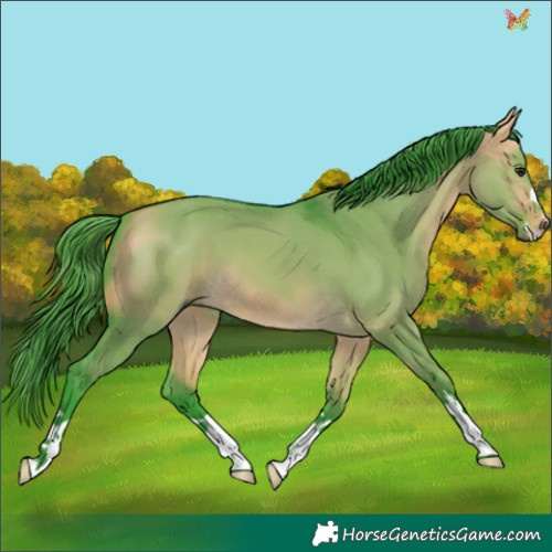 Horse Color:Watercolor Buckskin Dun 