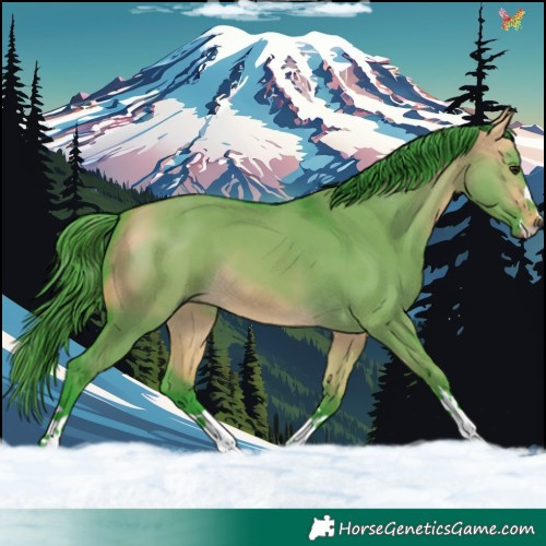 Horse Color:Watercolor Buckskin Dun 