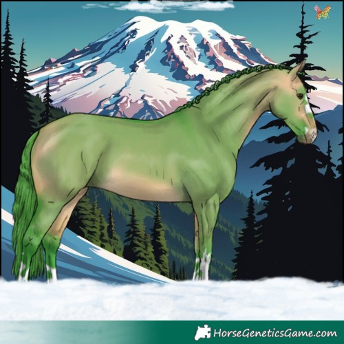 Horse Color:Watercolor Buckskin Dun
