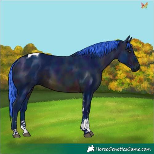 Horse Color:Watercolor Midnight Brown Tobiano
