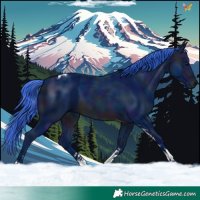 Horse Color:Watercolor Midnight Brown Tobiano 