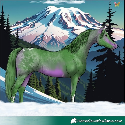 Horse Color:Watercolor Bay Tobiano 