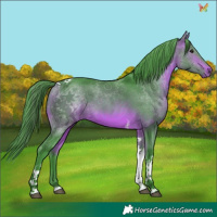 Horse Color:Watercolor Bay Tobiano 