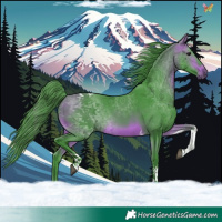 Horse Color:Watercolor Bay Tobiano 