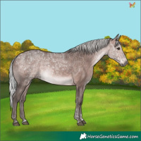 Horse Color:Platinum Silver Bay 