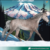 Horse Color:Platinum Silver Bay