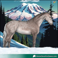 Horse Color:Platinum Silver Bay 