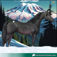 Horse Color:Bay Tobiano