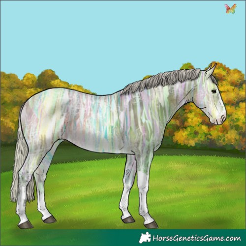 Horse Color:Silver Buckskin Ice Sabino Tobiano