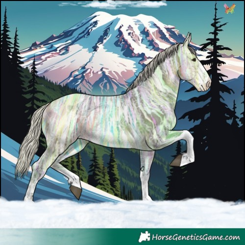 Horse Color:Silver Buckskin Ice Sabino Tobiano