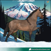 Horse Color:Void Brown Dun 