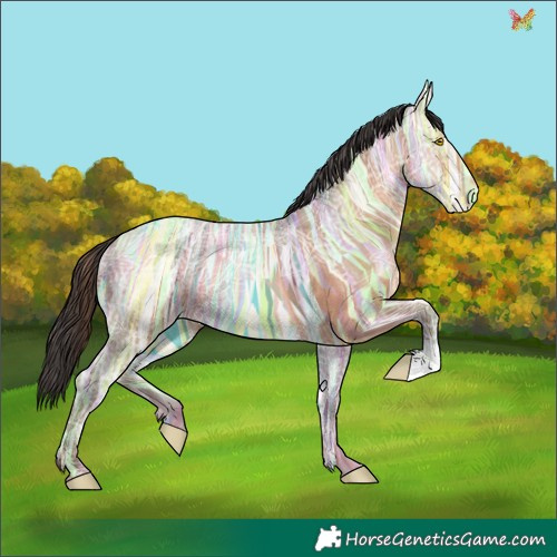 Horse Color:Sable Champagne Ice 
