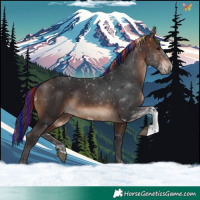 Horse Color:Painted Brown Tobiano 