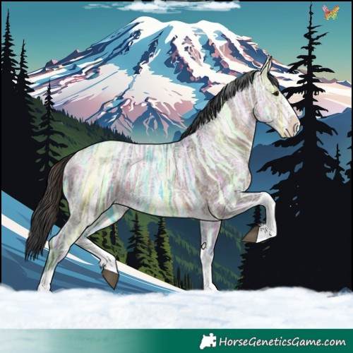 Horse Color:Brown Ice Sabino Tobiano
