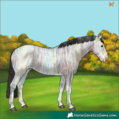 Horse Color:Brown Ice Sabino Tobiano 