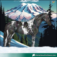 Horse Color:Midnight Bay Ice Tobiano