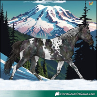 Horse Color:Midnight Bay Ice Tobiano 