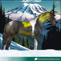 Horse Color:Brown Tobiano 