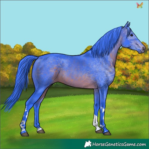 Horse Color:Watercolor Brown Tobiano 