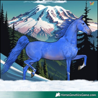 Horse Color:Watercolor Brown Tobiano