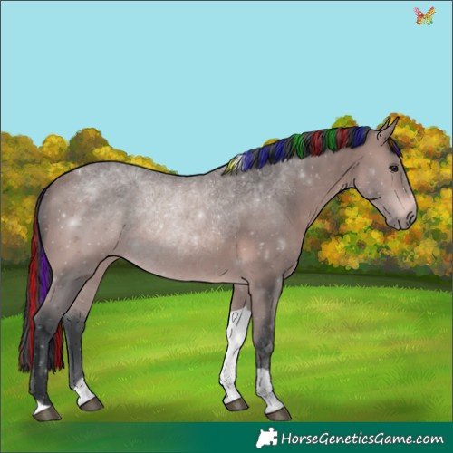 Horse Color:Platinum Painted Bay Tobiano 