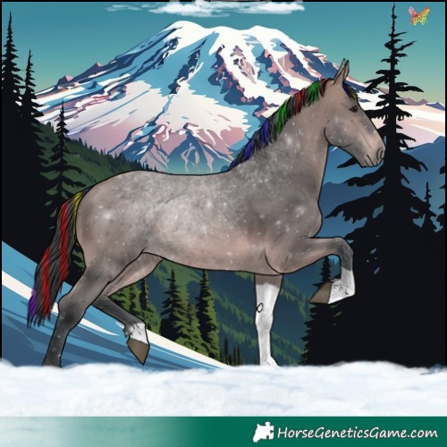 Horse Color:Platinum Painted Bay Tobiano 